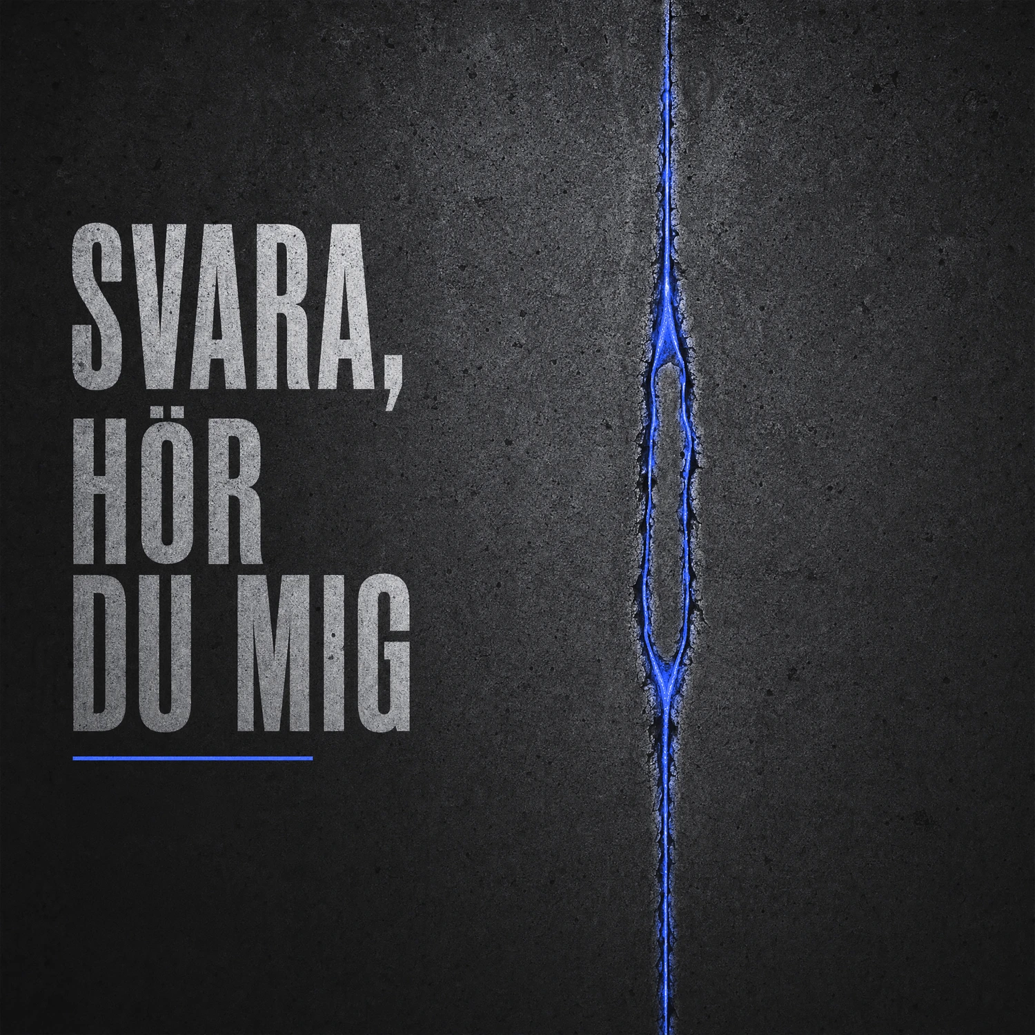 Cover artwork for Svara, Hör Du Mig